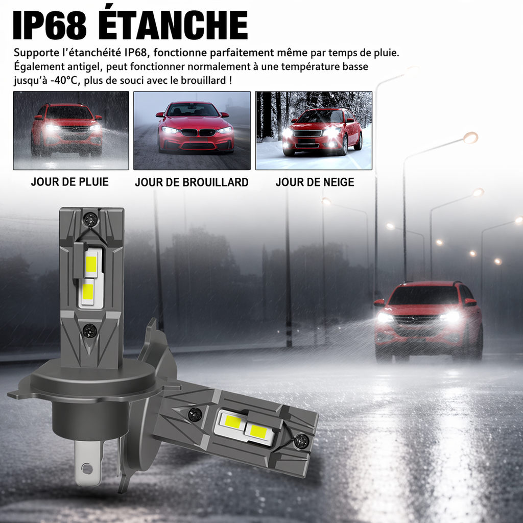 Lampadine H7 LED Canbus alta potenza