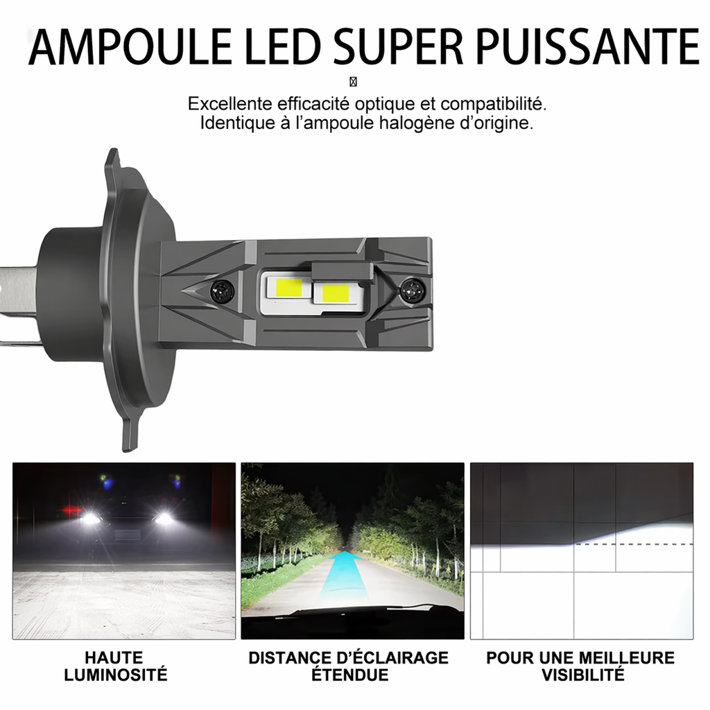 Lampadine H7 LED Canbus alta potenza