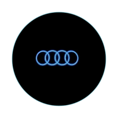 Audi A4 Door lights