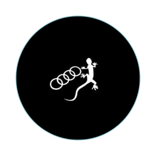Audi A4 Door lights
