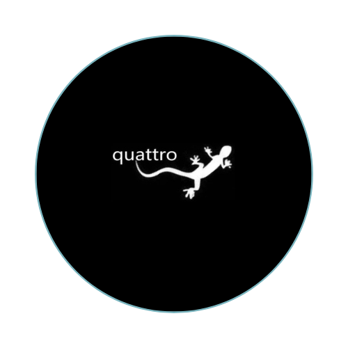 Audi GECKO QUATTRO Door lights